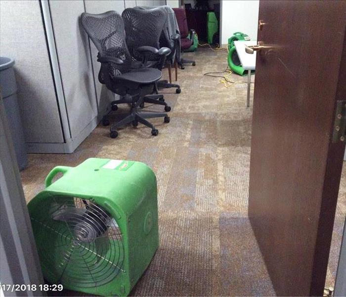carpet now dry, equipment working, gray cubicle and chairs shown