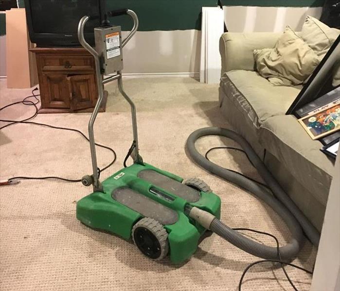 rover vacuum with hose, carpet and sofa