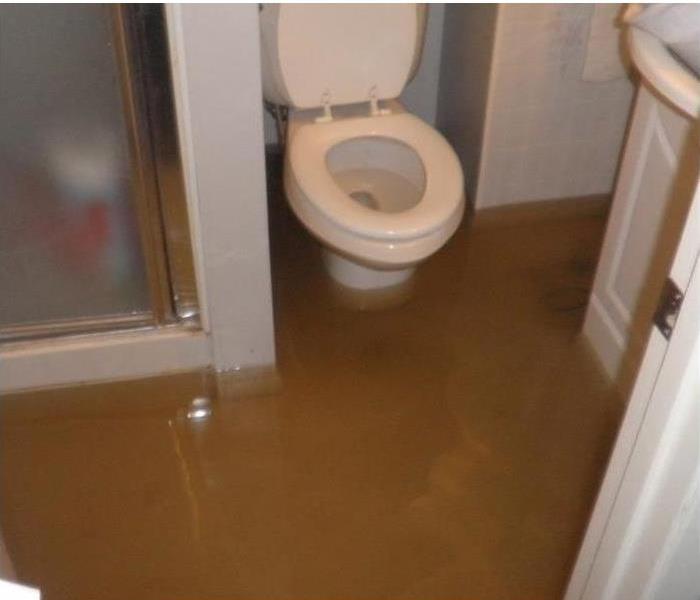 brown, backed up sewage in a bathroom
