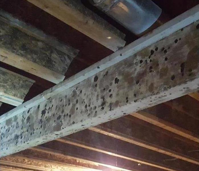 spotted mold on support girder in crawlspace.