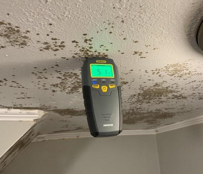 Mold on ceiling with moisture reading tool